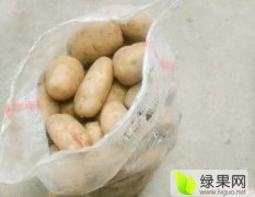 平度冷库土豆，二两半以上至通天