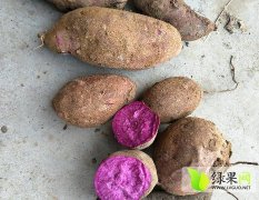 宜城市流水镇现在有大量储存的紫薯