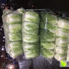 广东佛山蔬菜批发市场专业代销，互惠三赢