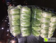 广东佛山蔬菜批发市场专业代销，互惠三赢