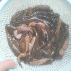 长期供应野生河鱼，湖南桃江独有特产鱼