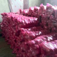 临猗县北辛赵村果品交易市场