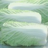 2017年河北定州北京新三号价格