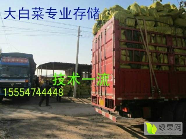 2017年山东金乡北京新三号价格