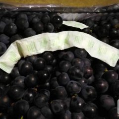 巨峰葡萄北镇葡萄北镇巨峰葡萄辽宁北镇葡萄产