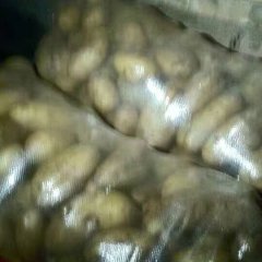 全国各地采购土豆的朋友，大家好