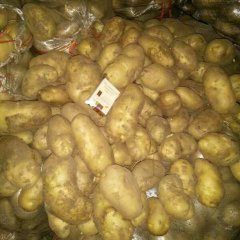 围场土豆 经营土豆多年，代收代销