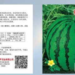 中晚熟品种，绝对不裂瓜