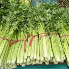 河南中牟法国皇后芹菜产销两旺