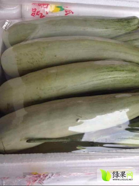 2017年山东莘县羊角蜜价格