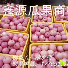 陕西纸袋红富士 膜袋红富士 红富士基地 产地