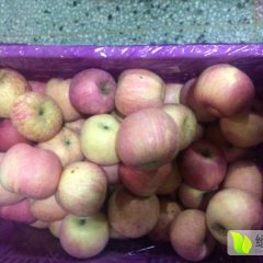 金乡库存红富士苹果大量出售