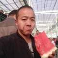 代办、代发山东西瓜