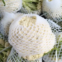 苏北万亩无公害有机松花菜已大量上市