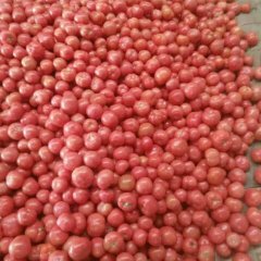 2017费县西红柿红度好，亮度好