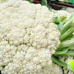 江苏沛县白面青梗松花菜：河口镇张先生