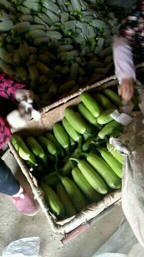 2017年山东东昌府绿玉价格