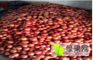 郯城 鲁南最大的露天蔬菜种植基地