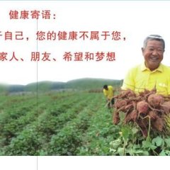 湖北红安红安苕红薯