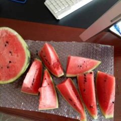 缅甸尹兴发、缅甸大量瓜果出货