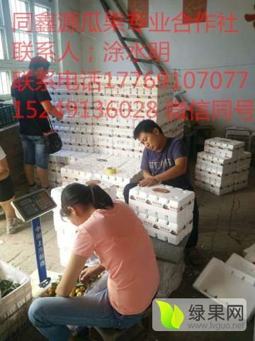 2018年陕西大荔冬枣价格