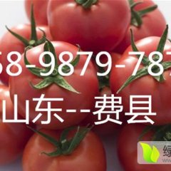 小时候的口感，只有好吃才会好卖