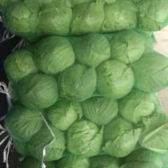 2017宜城现在正是甘蓝大量上市的时候