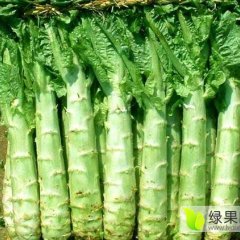 新老客户大家好，新鲜绿叶莴苣陆续上市