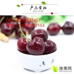 大连 美早 红灯 大樱桃