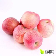 运城临猗大嶷山和万荣纸加膜红富士