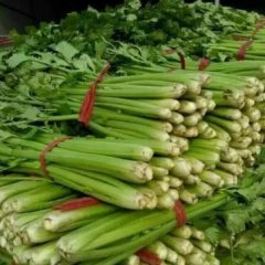 中牟芹菜早买早赚,310国杜辉诚信合作