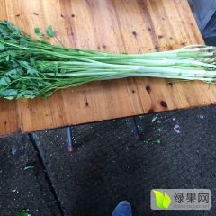 广州市白云区江南果蔬批发市场鲜菜一区127档