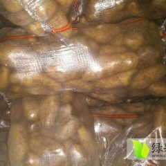 围场土豆 围场库存土豆大量出售