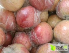 山东省重点商品水果生产基地