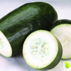 湖北嘉鱼邓自国 子弹头黑皮冬瓜