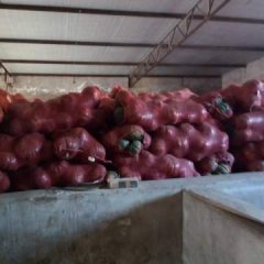 山西临县本人有大量南瓜出售，价格合理