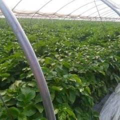 山东滕州市龙阳镇南500米