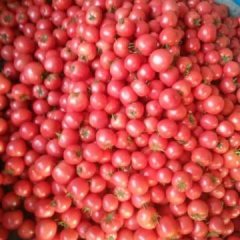 禹城是德州地区最大的蔬菜主产区