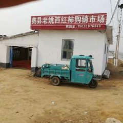 费县胡阳镇姚国全供应西红柿