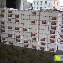 广东茂名荔枝代购代办服务