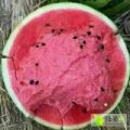 山东青州大棚瓜菜基地 中国瓜菜第一镇