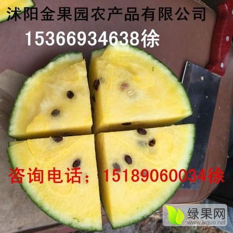 特小凤价格