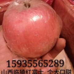 临猗冷库大量储藏着纸加膜高次,膜袋次果