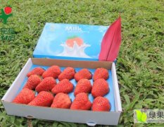 辽宁丹东草莓大量供应，可大量批发