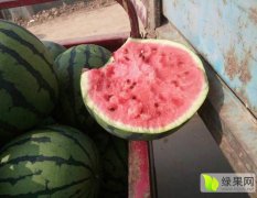 2017南乐西瓜 近年来已经形成规模，正规市场