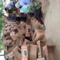 2017扶绥西瓜抓住商机无限