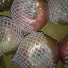 临猗苹果现有红富士苹果箱装和袋装