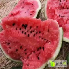 五一前后西瓜大量上市，品种有，京欣，双星