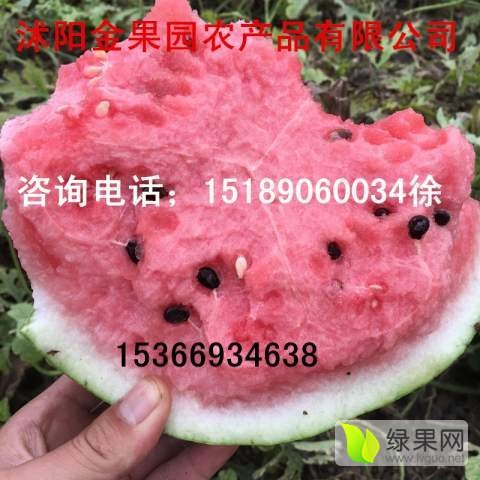 2017年江苏沭阳8424西瓜价格