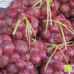 郸城钱店本地现有大量紫皮洋葱